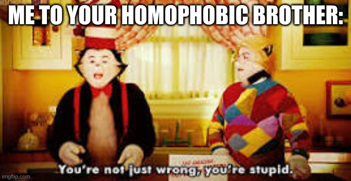 Your not just wrong your stupid | ME TO YOUR HOMOPHOBIC BROTHER: | image tagged in your not just wrong your stupid | made w/ Imgflip meme maker