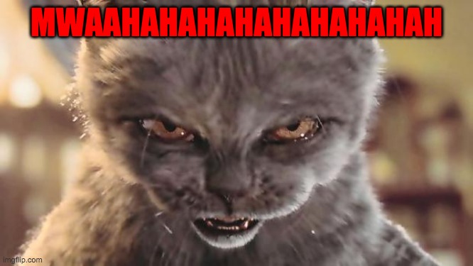 Evil Cat | MWAAHAHAHAHAHAHAHAHAH | image tagged in evil cat | made w/ Imgflip meme maker