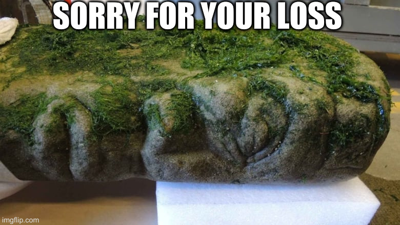 bigfoot evidence | SORRY FOR YOUR LOSS | image tagged in bigfoot evidence | made w/ Imgflip meme maker