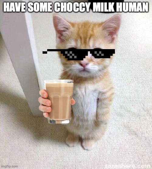 Cute Cat Meme | HAVE SOME CHOCCY MILK HUMAN | image tagged in memes,cute cat | made w/ Imgflip meme maker