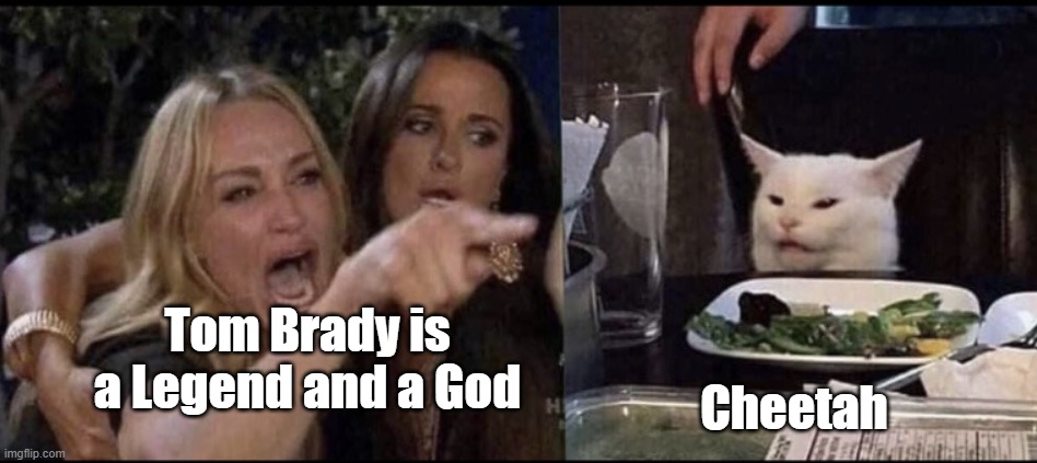 Brady is a Cheater | Tom Brady is a Legend and a God; Cheetah | image tagged in karen carpenter and smudge cat | made w/ Imgflip meme maker