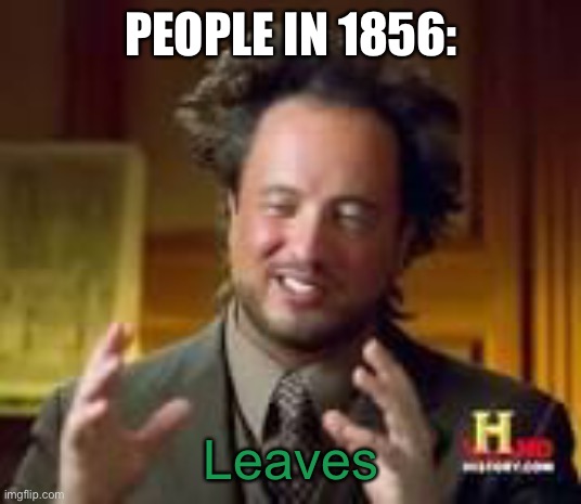 history guy funny | PEOPLE IN 1856: Leaves | image tagged in history guy funny | made w/ Imgflip meme maker