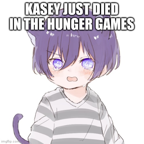 Upset Kasey | KASEY JUST DIED IN THE HUNGER GAMES | image tagged in upset kasey | made w/ Imgflip meme maker