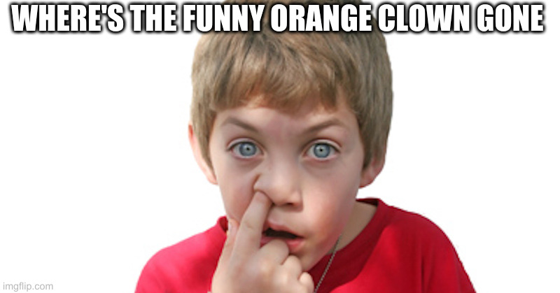 dumb kid | WHERE'S THE FUNNY ORANGE CLOWN GONE | image tagged in dumb kid | made w/ Imgflip meme maker