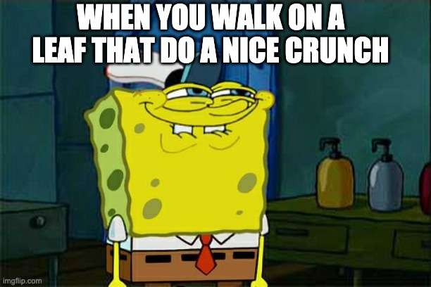Don't You Squidward Meme | WHEN YOU WALK ON A LEAF THAT DO A NICE CRUNCH | image tagged in memes,don't you squidward | made w/ Imgflip meme maker