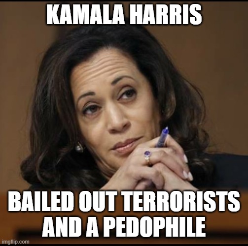 Kamala Harris  | KAMALA HARRIS BAILED OUT TERRORISTS
AND A PEDOPHILE | image tagged in kamala harris | made w/ Imgflip meme maker