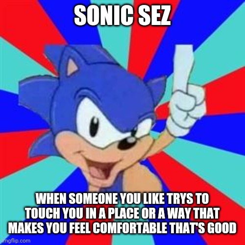 Sonic sez naughty stuff | SONIC SEZ; WHEN SOMEONE YOU LIKE TRYS TO TOUCH YOU IN A PLACE OR A WAY THAT MAKES YOU FEEL COMFORTABLE THAT'S GOOD | image tagged in sonic sez | made w/ Imgflip meme maker