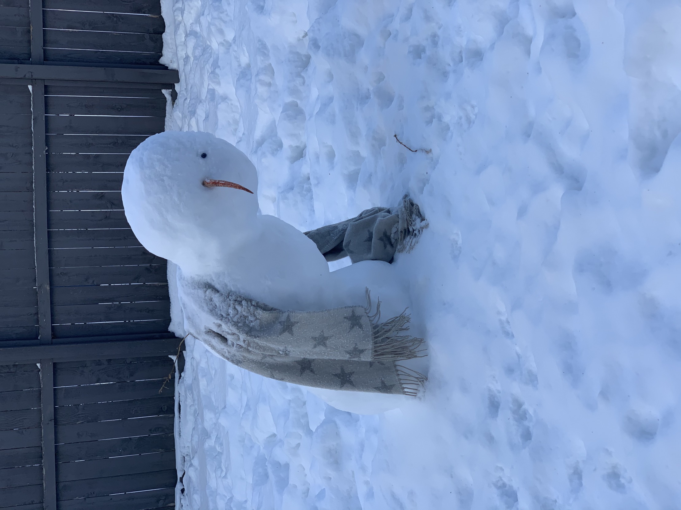 Leaning snow person Blank Meme Template
