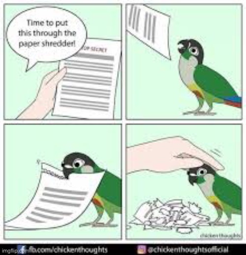 Personal paper shredder | image tagged in memes,funny,birds,lol,paper shredder | made w/ Imgflip meme maker