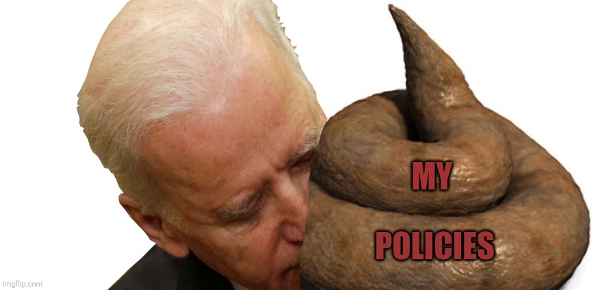 MY; POLICIES | image tagged in memes | made w/ Imgflip meme maker