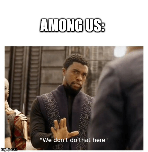we don't do that here | AMONG US: | image tagged in we don't do that here | made w/ Imgflip meme maker