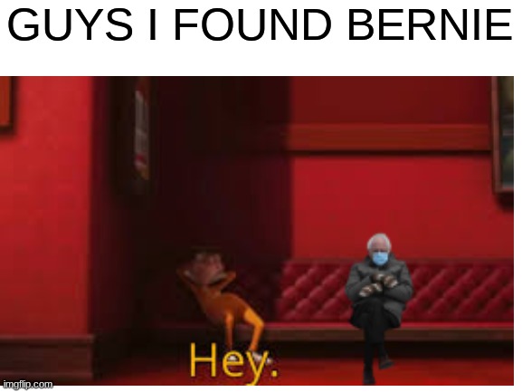 Hey | GUYS I FOUND BERNIE | image tagged in vector | made w/ Imgflip meme maker