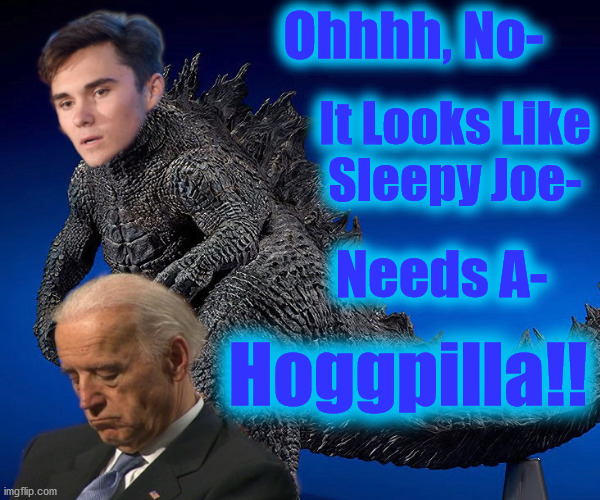 Hoggpilla | Ohhhh, No-; It Looks Like
Sleepy Joe-; Needs A-; Hoggpilla!! | image tagged in hogg,pillow,sleepy joe | made w/ Imgflip meme maker