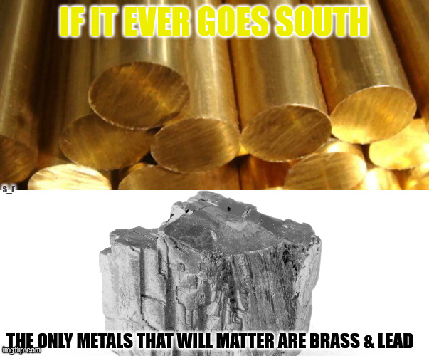 precious metals | IF IT EVER GOES SOUTH; S_E; THE ONLY METALS THAT WILL MATTER ARE BRASS & LEAD | image tagged in gold,silver | made w/ Imgflip meme maker