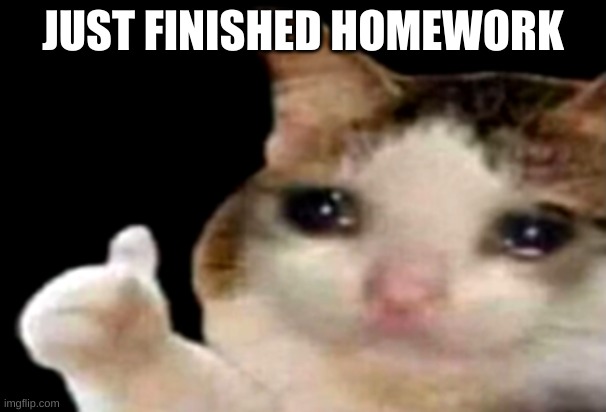 its 8:28 for me rn | JUST FINISHED HOMEWORK | image tagged in memes,funny,cats,thumbs up,homework | made w/ Imgflip meme maker