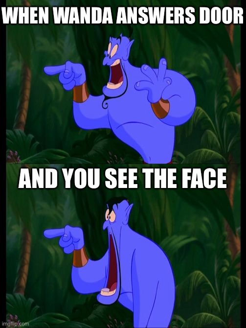 WandaVision | WHEN WANDA ANSWERS DOOR; AND YOU SEE THE FACE | image tagged in aladdin surprised genie jaw drop,wandavision,disney plus,marvel cinematic universe,xmen | made w/ Imgflip meme maker