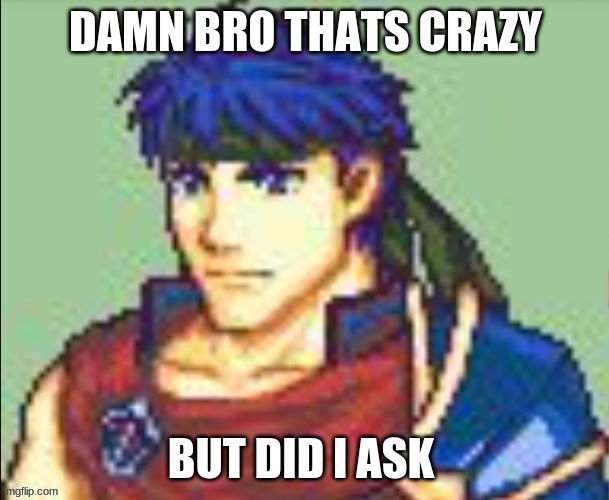 Damn bro | image tagged in did ike ask,no ike didnt | made w/ Imgflip meme maker