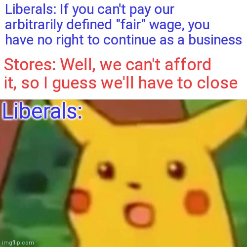 Surprised Pikachu | Liberals: If you can't pay our arbitrarily defined "fair" wage, you have no right to continue as a business; Stores: Well, we can't afford it, so I guess we'll have to close; Liberals: | image tagged in memes,surprised pikachu | made w/ Imgflip meme maker
