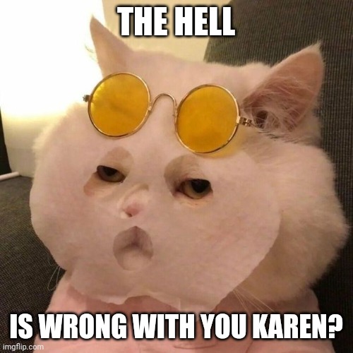 ONE UNHAPPY KITTY | THE HELL; IS WRONG WITH YOU KAREN? | image tagged in cats,funny cats | made w/ Imgflip meme maker