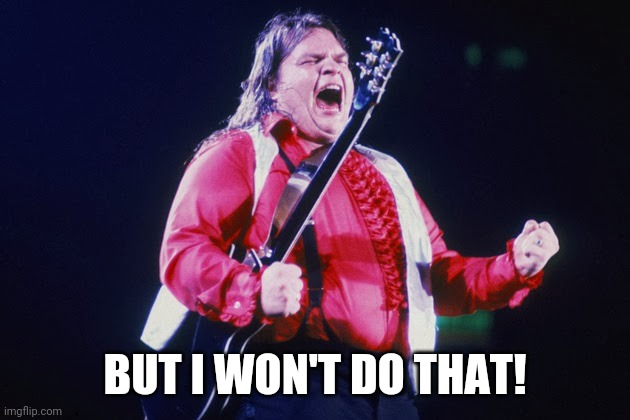 meatloaf | BUT I WON'T DO THAT! | image tagged in meatloaf | made w/ Imgflip meme maker