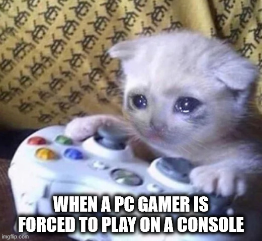 PC Gaming on consoles | WHEN A PC GAMER IS FORCED TO PLAY ON A CONSOLE | image tagged in gaming | made w/ Imgflip meme maker