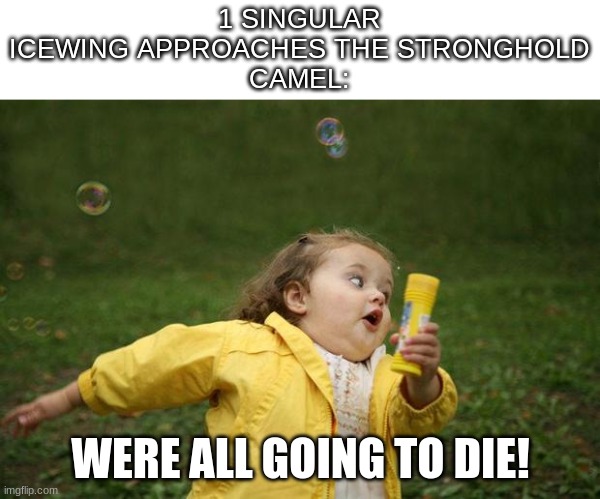 Sad but true. | 1 SINGULAR ICEWING APPROACHES THE STRONGHOLD
CAMEL:; WERE ALL GOING TO DIE! | image tagged in girl running,wings of fire,funny | made w/ Imgflip meme maker