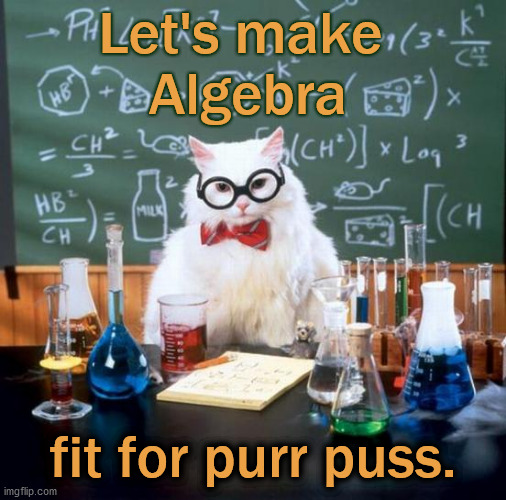Improve algebra | Let's make 
Algebra; fit for purr puss. | image tagged in memes,chemistry cat,math,equation,algebra,formula | made w/ Imgflip meme maker