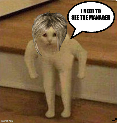 Karen Cat | I NEED TO SEE THE MANAGER | image tagged in karen,cat | made w/ Imgflip meme maker