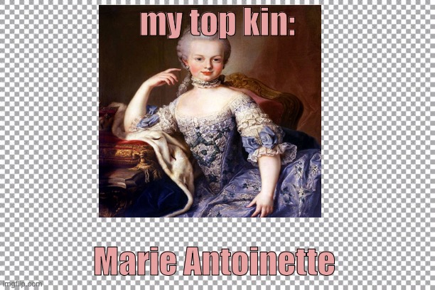 marie antoinette | my top kin:; Marie Antoinette | image tagged in historical meme | made w/ Imgflip meme maker