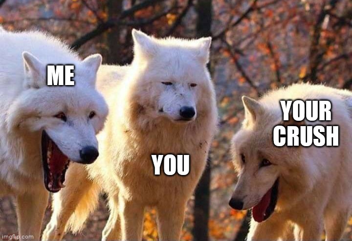 Laughing wolf | ME YOUR CRUSH YOU | image tagged in laughing wolf | made w/ Imgflip meme maker