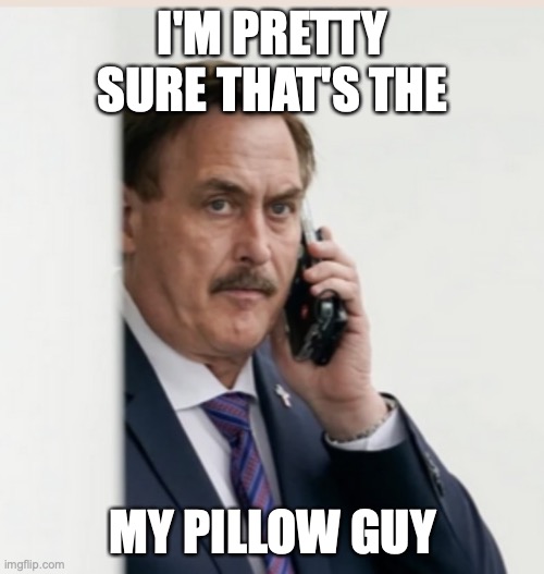 MyPillow | I'M PRETTY SURE THAT'S THE MY PILLOW GUY | image tagged in mypillow | made w/ Imgflip meme maker