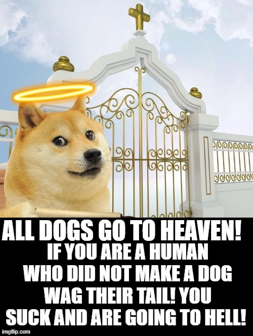 All Dogs Go To Heaven! | ALL DOGS GO TO HEAVEN! IF YOU ARE A HUMAN WHO DID NOT MAKE A DOG WAG THEIR TAIL! YOU SUCK AND ARE GOING TO HELL! | image tagged in heaven | made w/ Imgflip meme maker