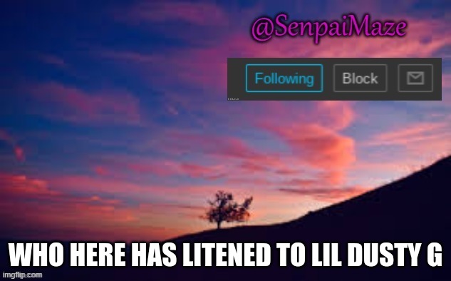 sunset | WHO HERE HAS LITENED TO LIL DUSTY G | image tagged in sunset | made w/ Imgflip meme maker