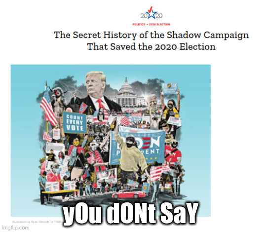 you dont say | yOu dONt SaY | image tagged in collusion,trump,new world order,2020 elections,mainstream media,biden | made w/ Imgflip meme maker
