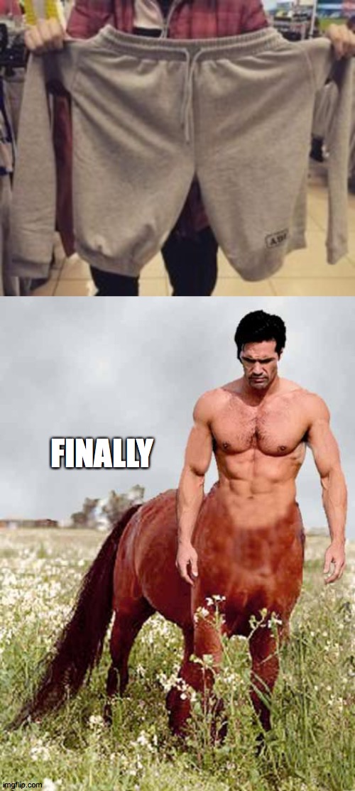 still working on the fit... | FINALLY | image tagged in centaur | made w/ Imgflip meme maker