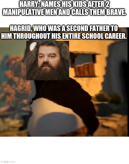 this makes me feel sad | HARRY: NAMES HIS KIDS AFTER 2 MANIPULATIVE MEN AND CALLS THEM BRAVE. HAGRID, WHO WAS A SECOND FATHER TO HIM THROUGHOUT HIS ENTIRE SCHOOL CAREER. | image tagged in po wut | made w/ Imgflip meme maker