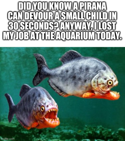 piranha | DID YOU KNOW A PIRANA CAN DEVOUR A SMALL CHILD IN 30 SECONDS? ANYWAY, I LOST MY JOB AT THE AQUARIUM TODAY. | image tagged in piranha | made w/ Imgflip meme maker