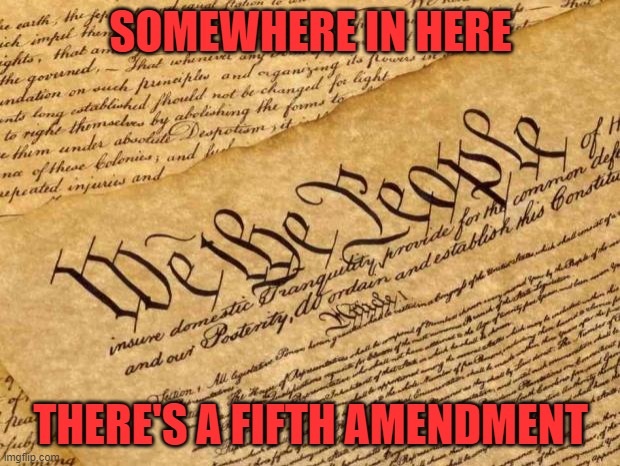 Constitution | SOMEWHERE IN HERE THERE'S A FIFTH AMENDMENT | image tagged in constitution | made w/ Imgflip meme maker