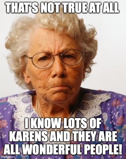 Mean old lady | THAT'S NOT TRUE AT ALL I KNOW LOTS OF KARENS AND THEY ARE ALL WONDERFUL PEOPLE! | image tagged in mean old lady | made w/ Imgflip meme maker