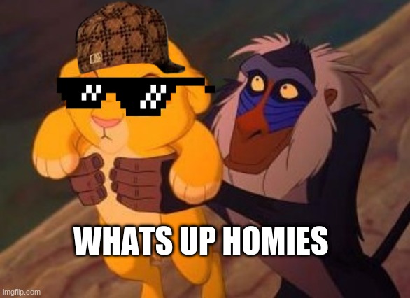 hi | WHATS UP HOMIES | image tagged in lion king,simba,funny | made w/ Imgflip meme maker