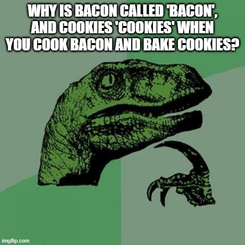 Philosoraptor | WHY IS BACON CALLED 'BACON', AND COOKIES 'COOKIES' WHEN YOU COOK BACON AND BAKE COOKIES? | image tagged in memes,philosoraptor | made w/ Imgflip meme maker