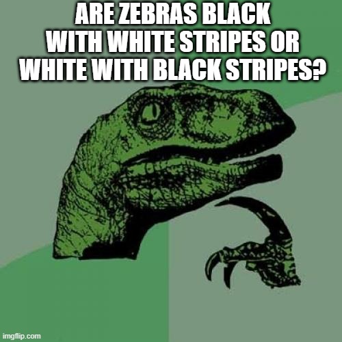 Philosoraptor | ARE ZEBRAS BLACK WITH WHITE STRIPES OR WHITE WITH BLACK STRIPES? | image tagged in memes,philosoraptor | made w/ Imgflip meme maker