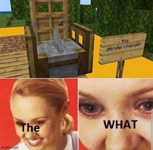 Ok.... | image tagged in gender changer,minecraft | made w/ Imgflip meme maker