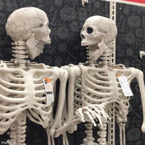 Two Skeletons | image tagged in two skeletons | made w/ Imgflip meme maker