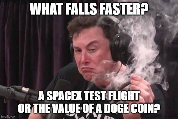 Elon blunt | WHAT FALLS FASTER? A SPACEX TEST FLIGHT OR THE VALUE OF A DOGE COIN? | image tagged in elon blunt,doge,spacex | made w/ Imgflip meme maker