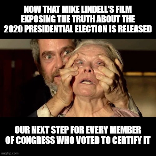  NOW THAT MIKE LINDELL'S FILM EXPOSING THE TRUTH ABOUT THE 2020 PRESIDENTIAL ELECTION IS RELEASED; OUR NEXT STEP FOR EVERY MEMBER OF CONGRESS WHO VOTED TO CERTIFY IT | image tagged in mike lindell,my pillow,notmypresident,election fraud,stop the steal,voter fraud | made w/ Imgflip meme maker