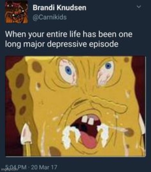 I shouldn’t be laughing at this but t’he face- | made w/ Imgflip meme maker