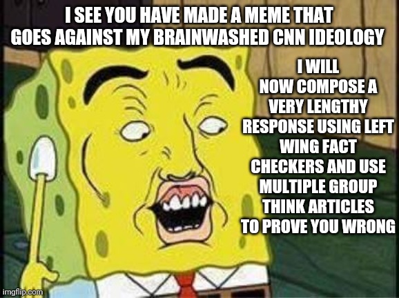 sponge bob bruh | I SEE YOU HAVE MADE A MEME THAT GOES AGAINST MY BRAINWASHED CNN IDEOLOGY; I WILL NOW COMPOSE A VERY LENGTHY RESPONSE USING LEFT WING FACT CHECKERS AND USE MULTIPLE GROUP THINK ARTICLES TO PROVE YOU WRONG | image tagged in sponge bob bruh | made w/ Imgflip meme maker