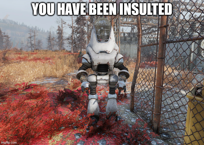 You Have Benn Insulted | YOU HAVE BEEN INSULTED | image tagged in fallout 76 | made w/ Imgflip meme maker