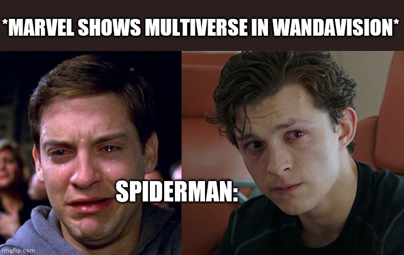 Lol memes | *MARVEL SHOWS MULTIVERSE IN WANDAVISION*; SPIDERMAN: | image tagged in lol so funny,spiderman peter parker,wandavision | made w/ Imgflip meme maker